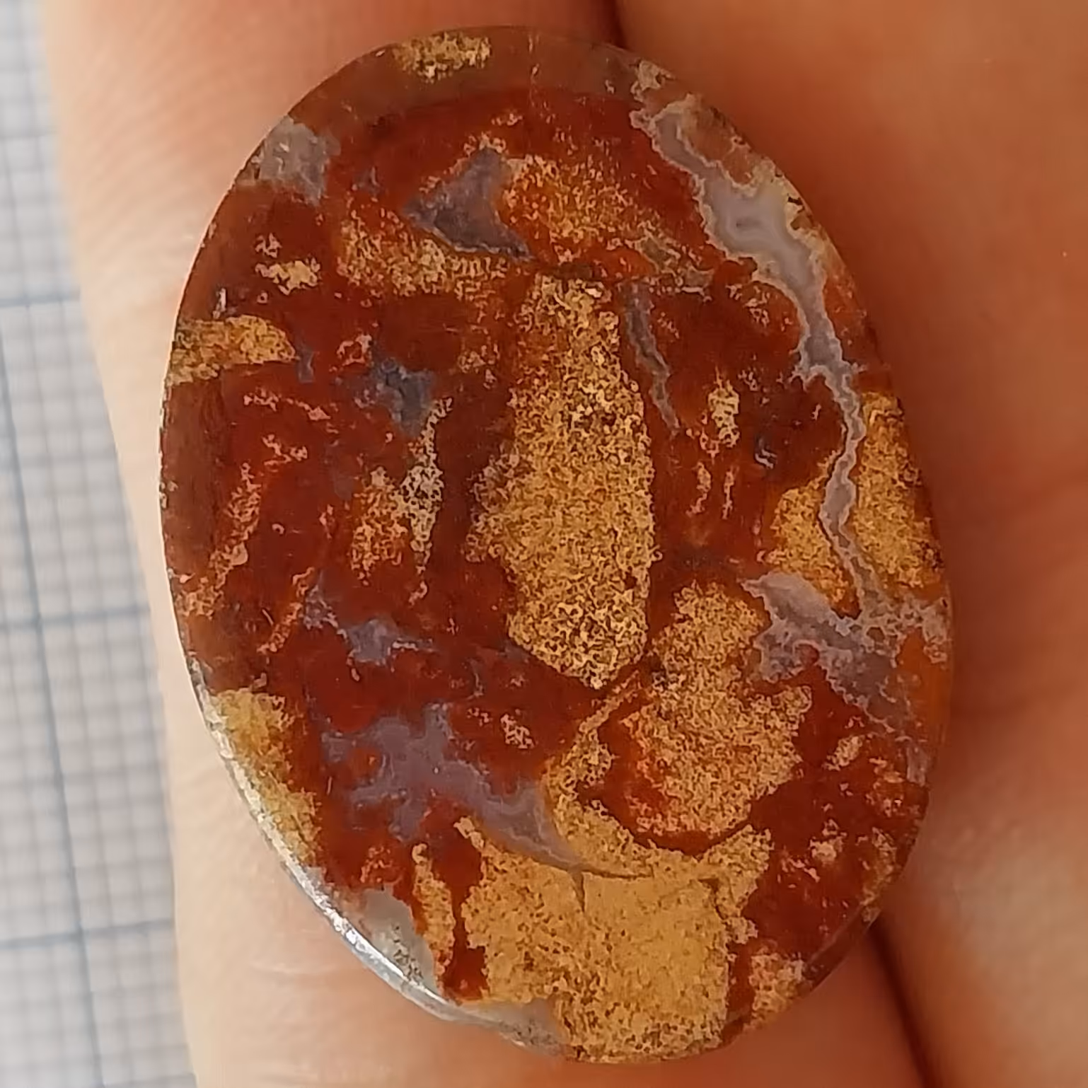 نگین شجر چند رنگ زیبا و خاص