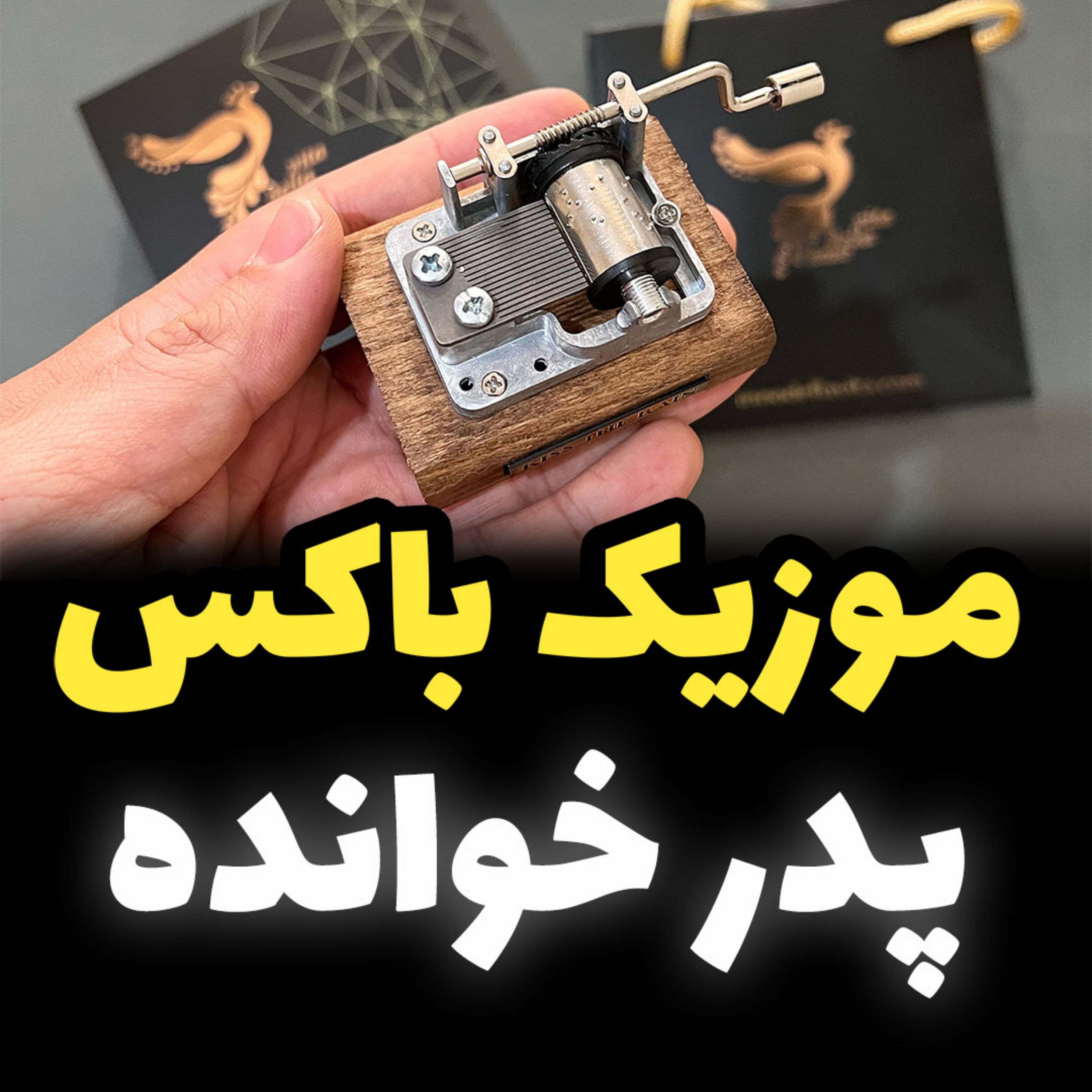 موزیک باکس پدرخوانده برند اینو دلا ویتا مدل M18WB-Bهمراه با جعبه و ساک دستی خرید (پس کرایه)