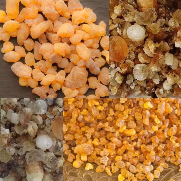 آنغوزه 10 گرم