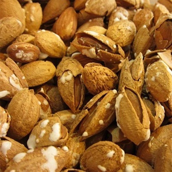 بادام کاغذی منقا شور 250 گرمی