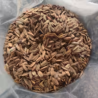 پخش تخمه آفتابگردان خارجی طعم کچاپ نه کیلو و شیصد گرم