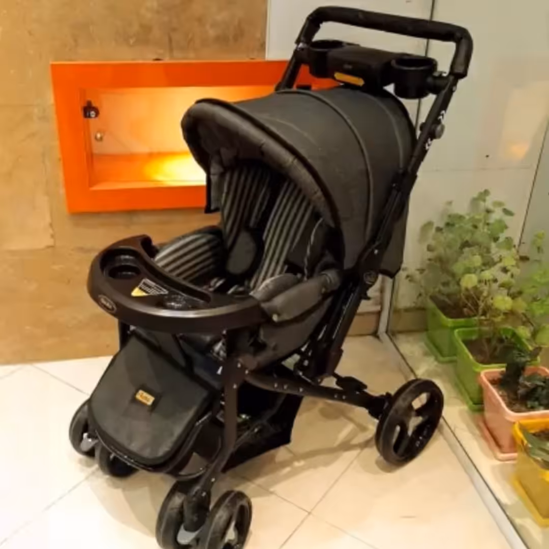 کالسکه مدل مدیا با اسکلت بنیتا دلیجان 