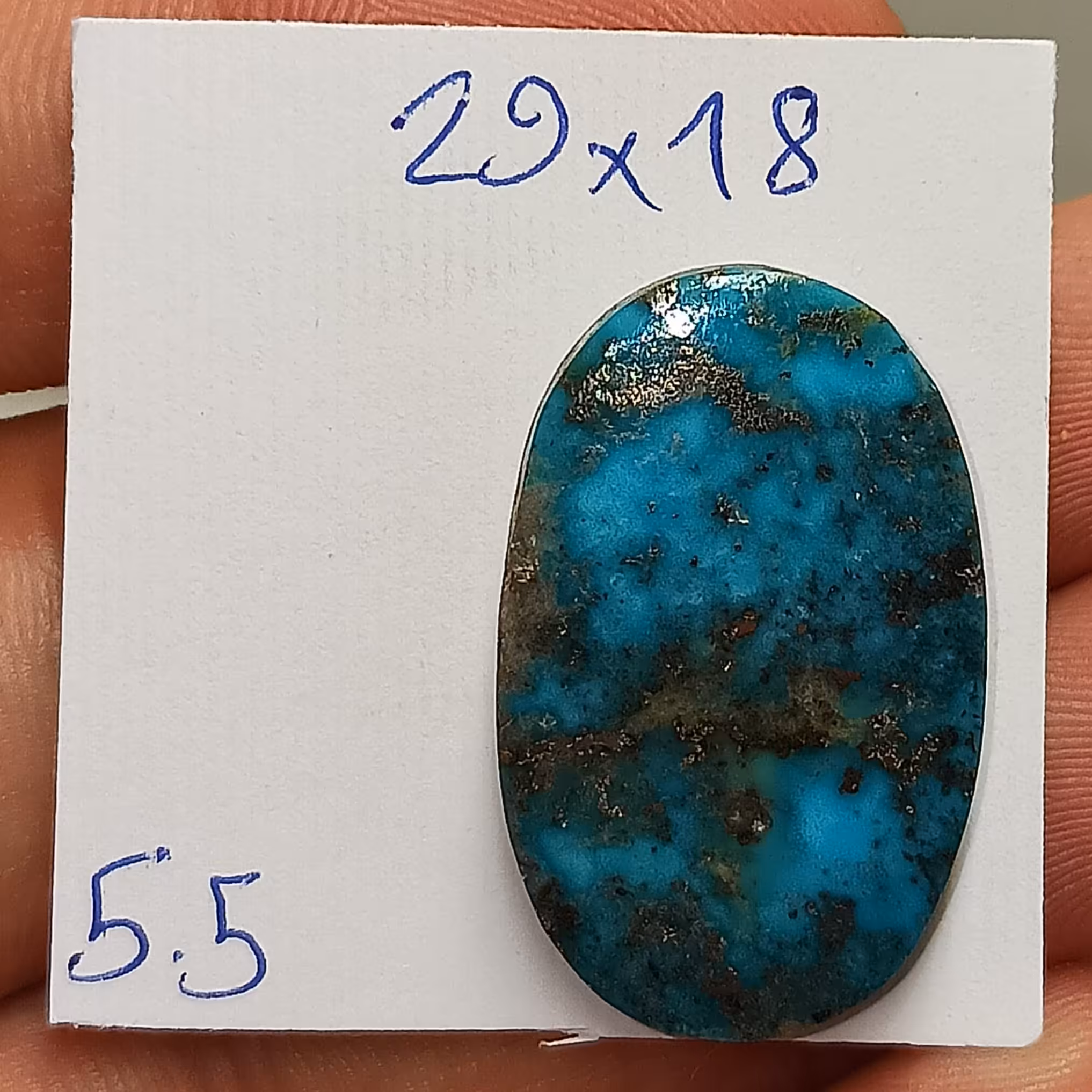 نگین فیروزه شجر پیریت دار رنگ فوق‌العاده بالا مقاوم شده