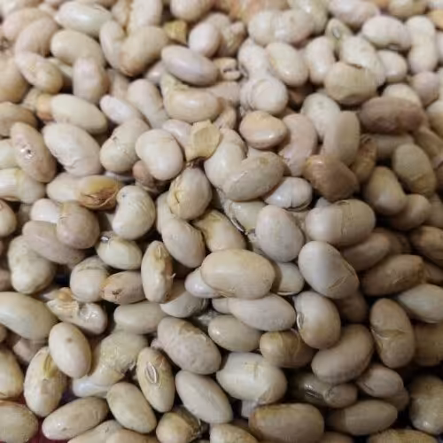 سویا آجیلی یک کیلویی خوشمزه وسرشار از مواد مغذی