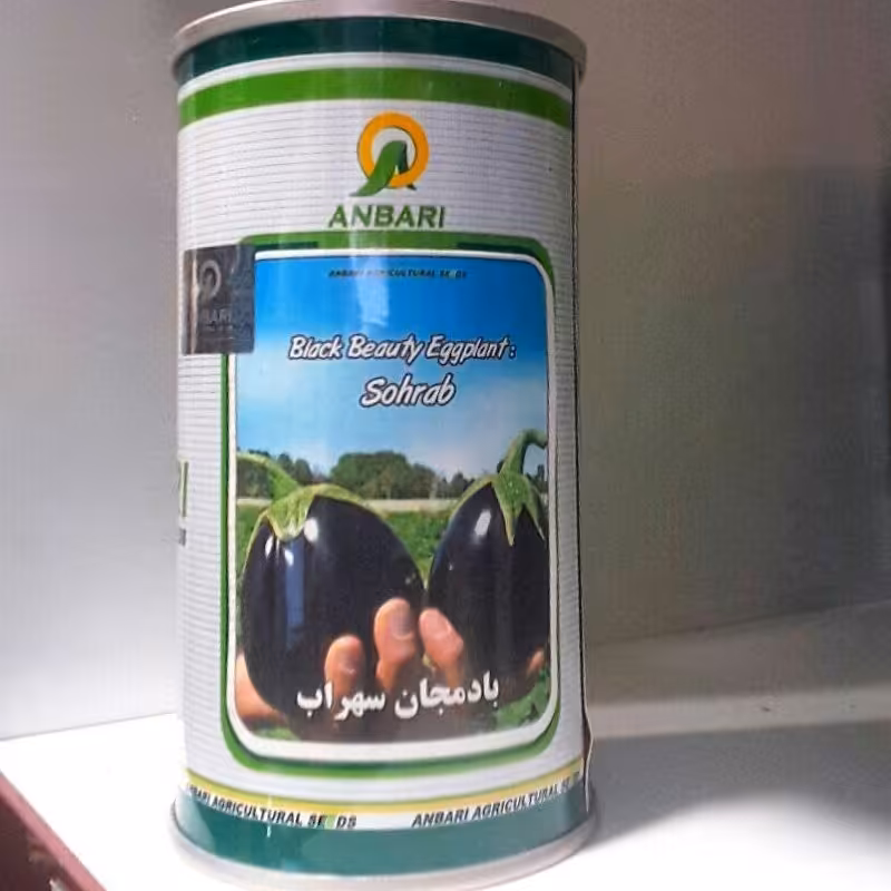 بذر بادمجان دلمه سهراب عنبری