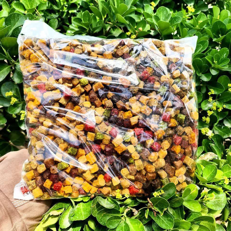 حبه میوه نیم کیلویی