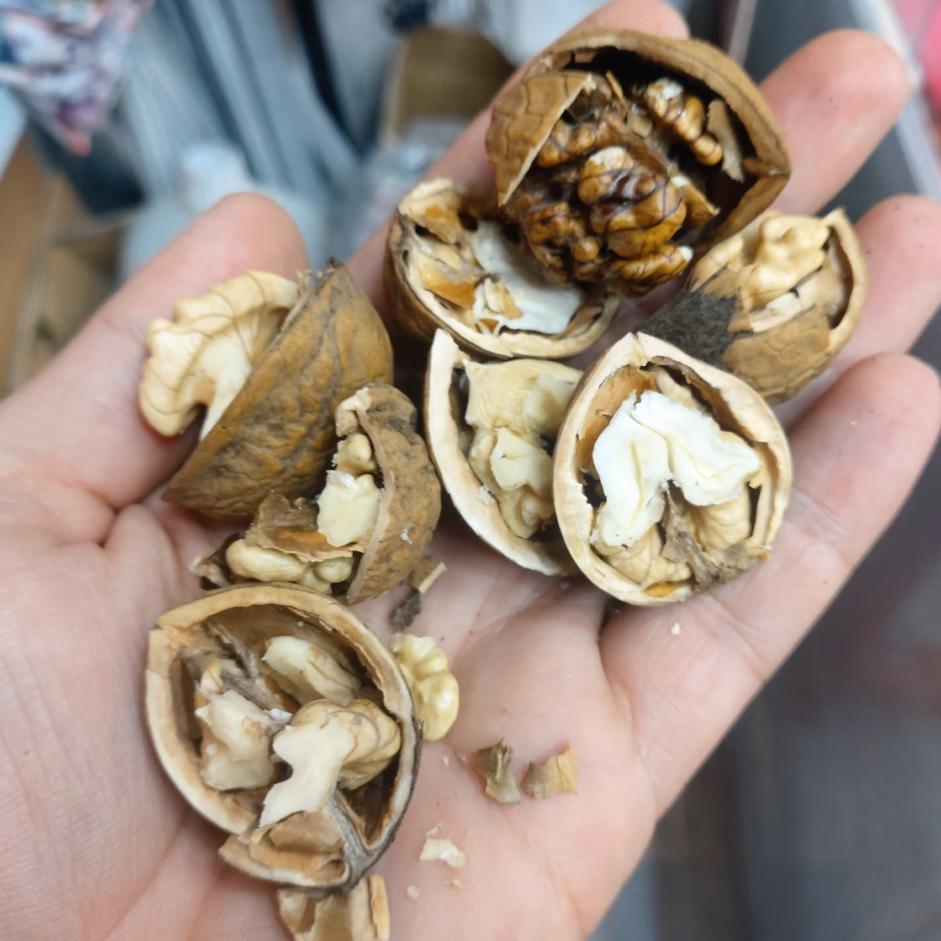 گردو امساله 1401 عالی تضمین قیمت تضمین کیفیت
کیفیت و طعم عالی 