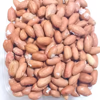 بادام زمینی امسال ترد و خوشمزه بسته 250 گرمی 65000 تومن