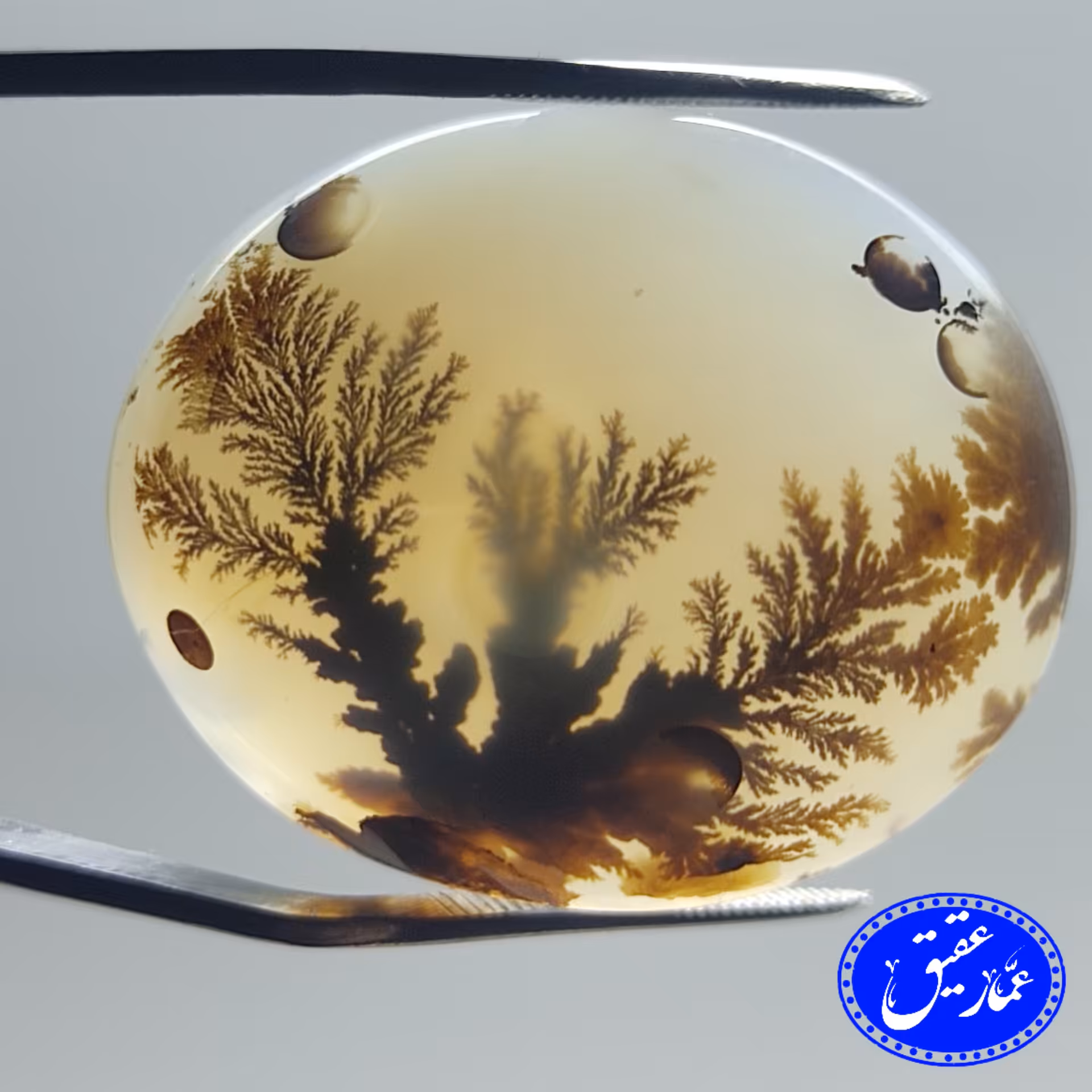 نگین عقیق شجر قائن درشت و قواره دار