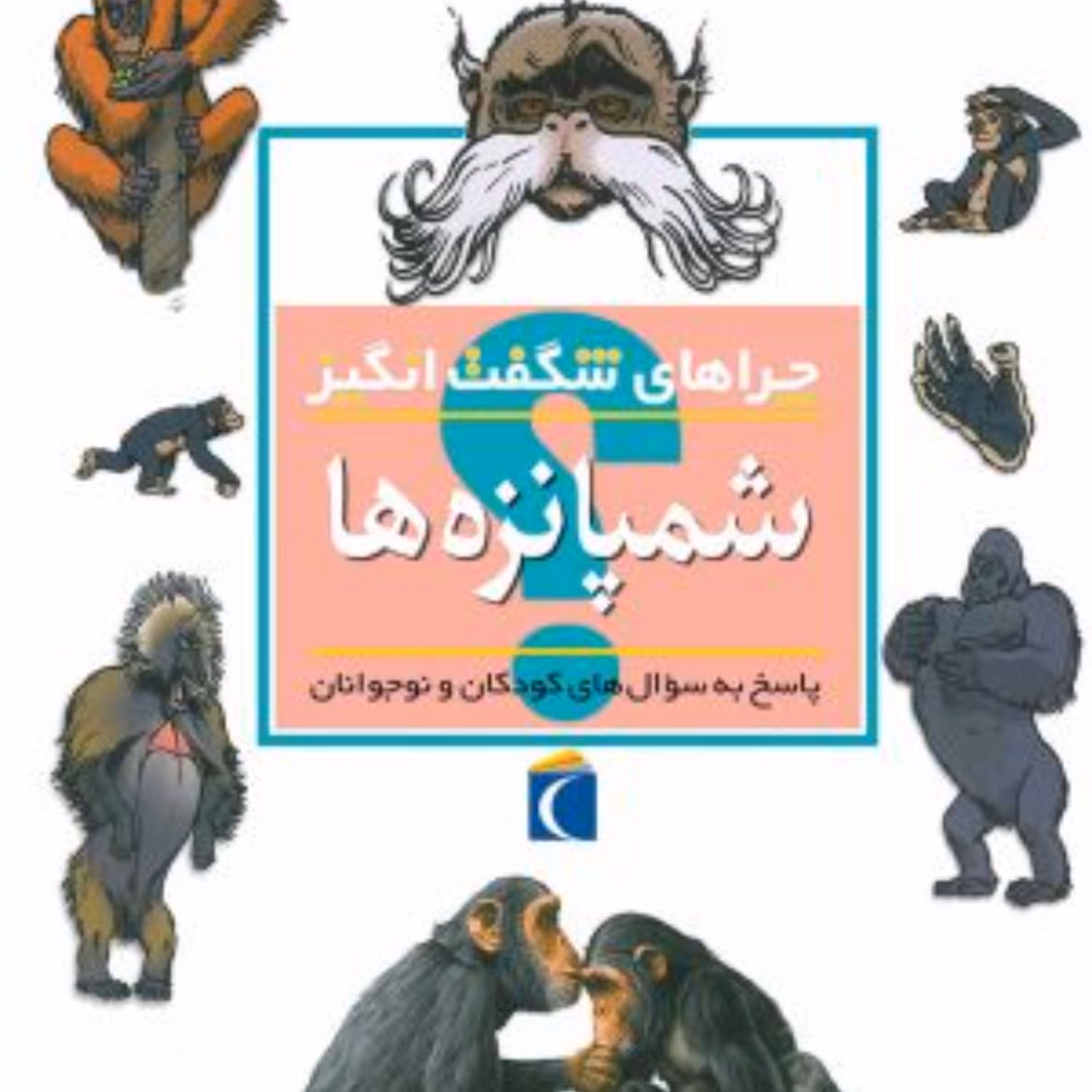 چراهای شگفت انگیز شمپانزه ها