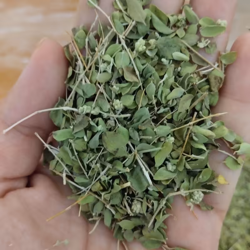 اویشن خالص امسال مستقیم از کوه