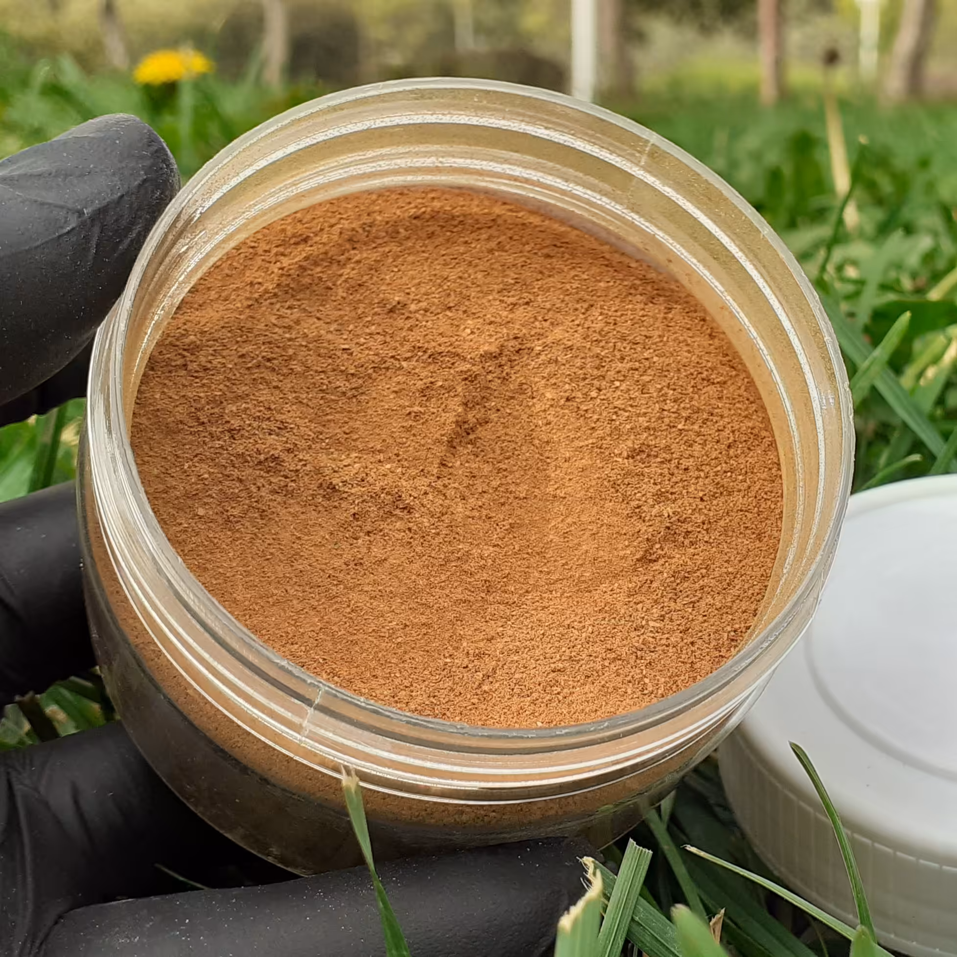 پودر دارچین هندی خالص 150 گرمی 