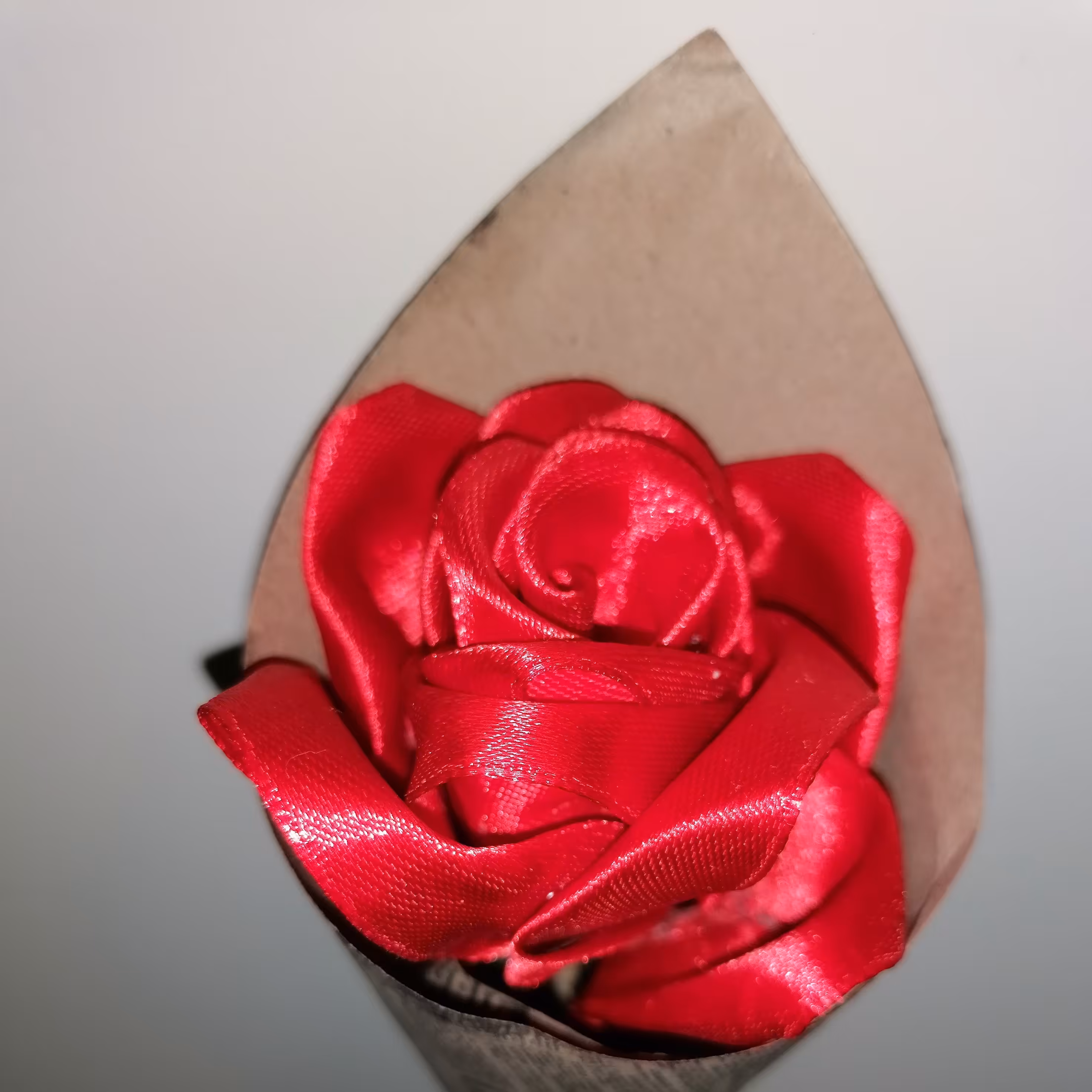 گل رز روبانی