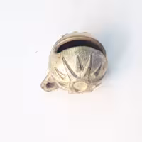 زنگوله طلایی