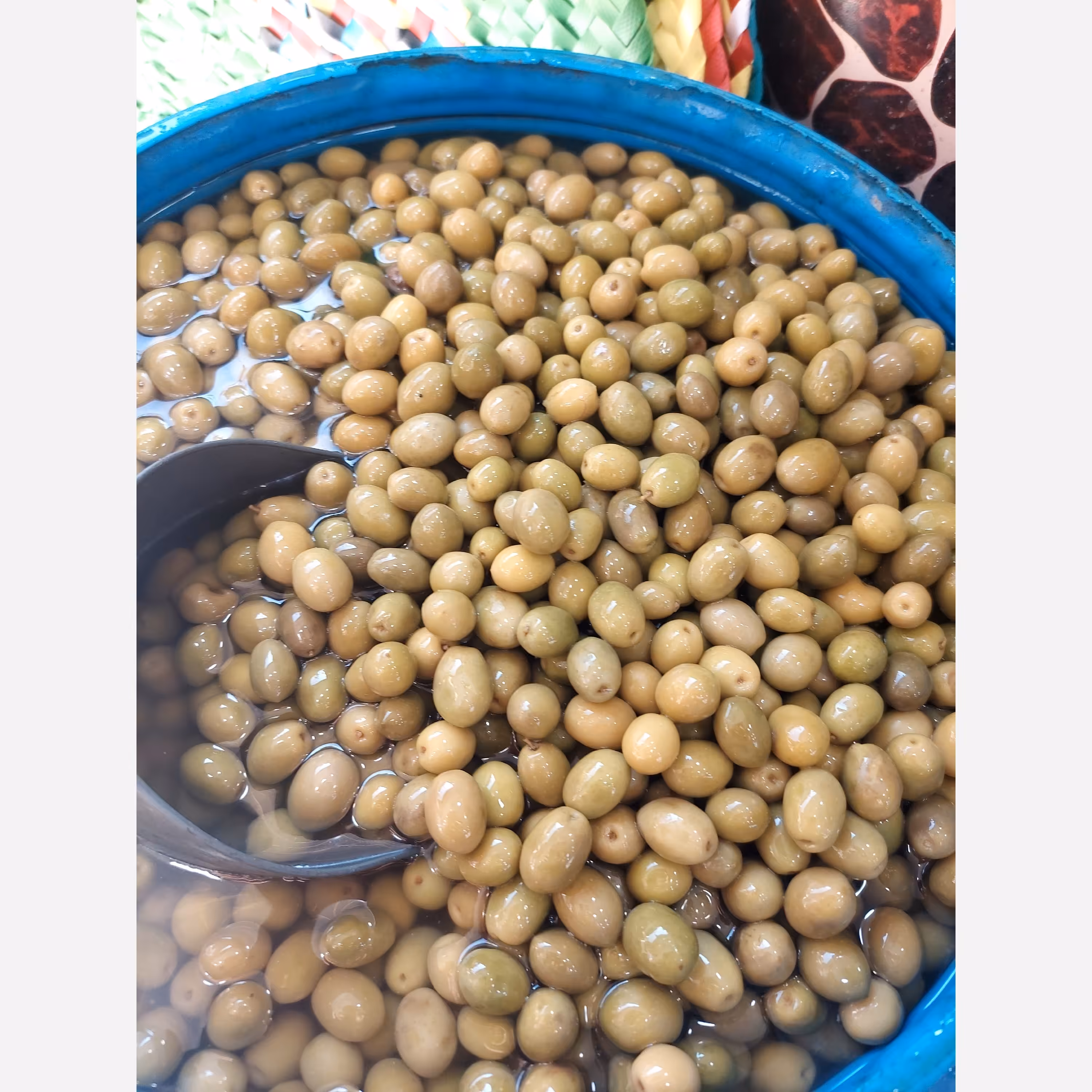 زیتون کنسروی جنگلی امساله(پس کرایه)