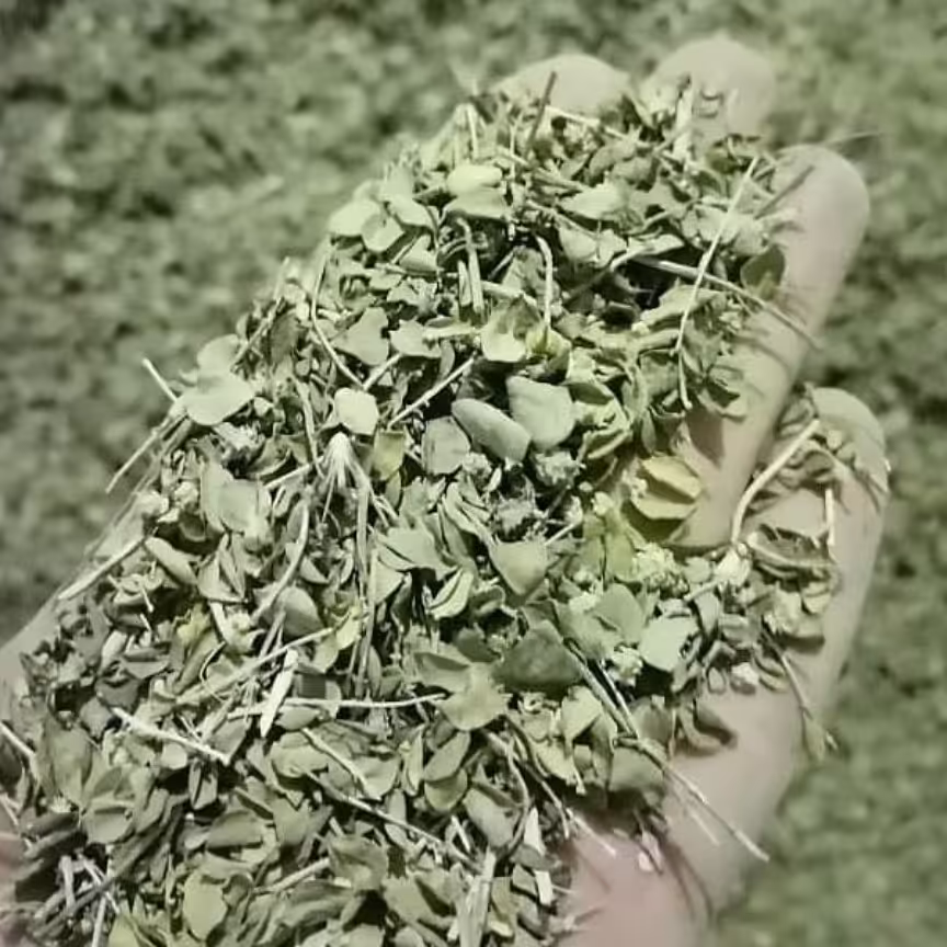 آویشن شیرازی برگ(75گرم)