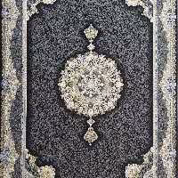 فرش پاتریس 1200شانه گل برجسته طرح ایتالیا مشکی 12متری