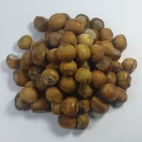 فندق خام مقدار 700 گرم