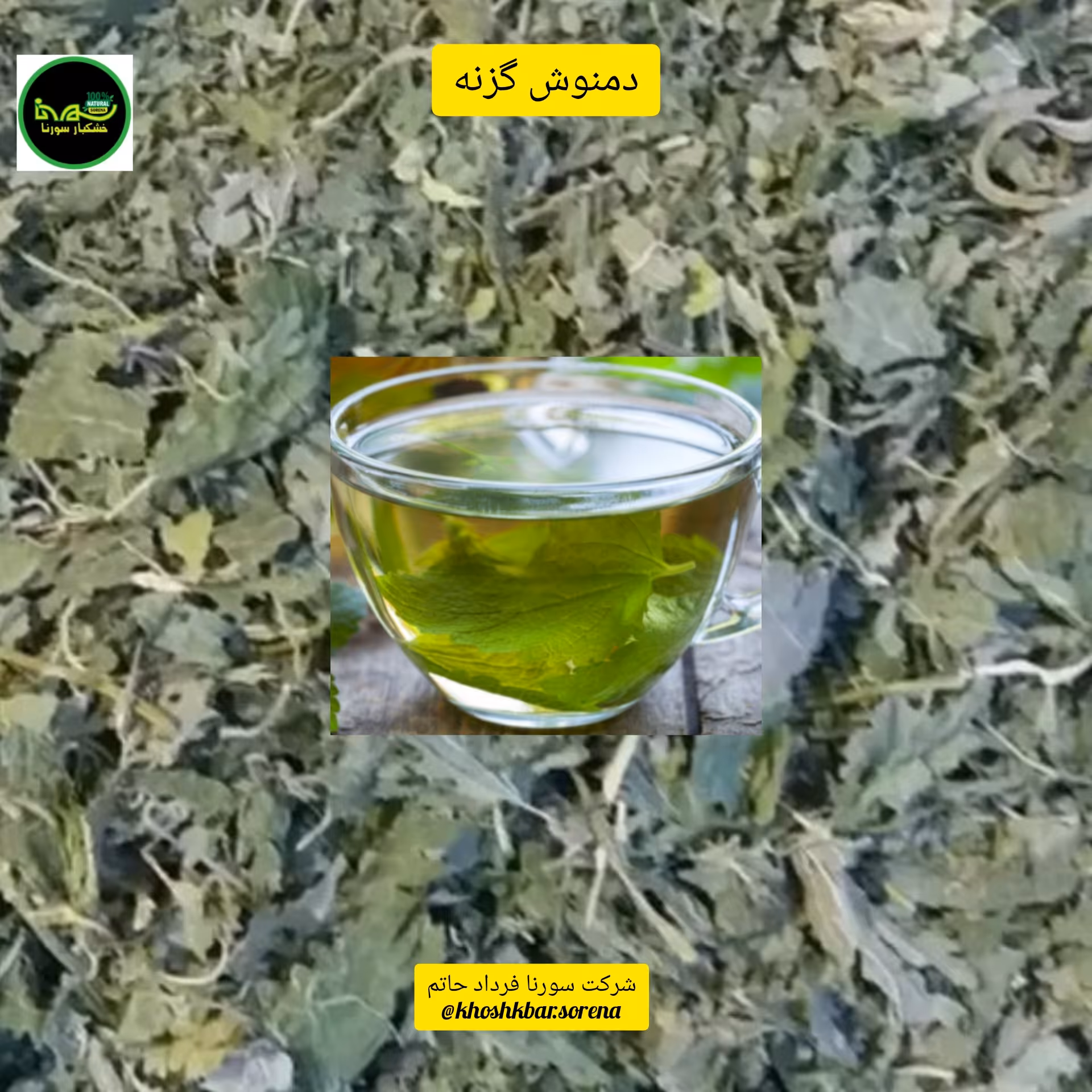 گزنه سبز خشک محلی درجه یک(مازندران،قائمشهر) در بسته بندی 325  گرمی