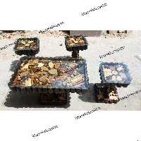 میز عسلی جلو مبلی میز وسط عسلی و جلو مبلی روستیک  سنتی جنگلی جدید  عسلی جنگلی  سنتی ارسال بصورت پسکرایه 