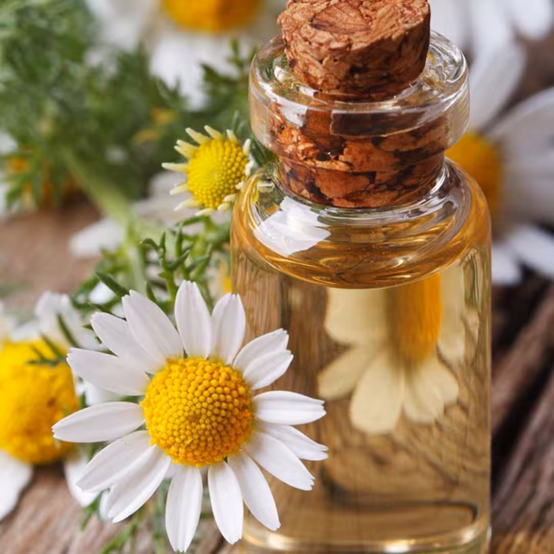 روغن بابونه(60cc)