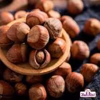 فندق خام 250 گرمی اعتماد تازه و کم خطا