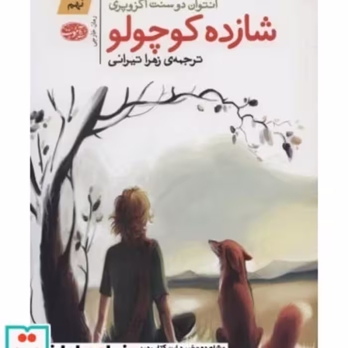 کتاب شازده کوچولو نشر آموت