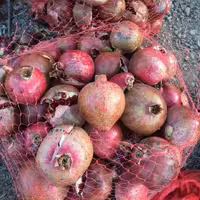 انار ربی محمودآباد طعم ملس محصول باغات ورامین 20 کیلویی