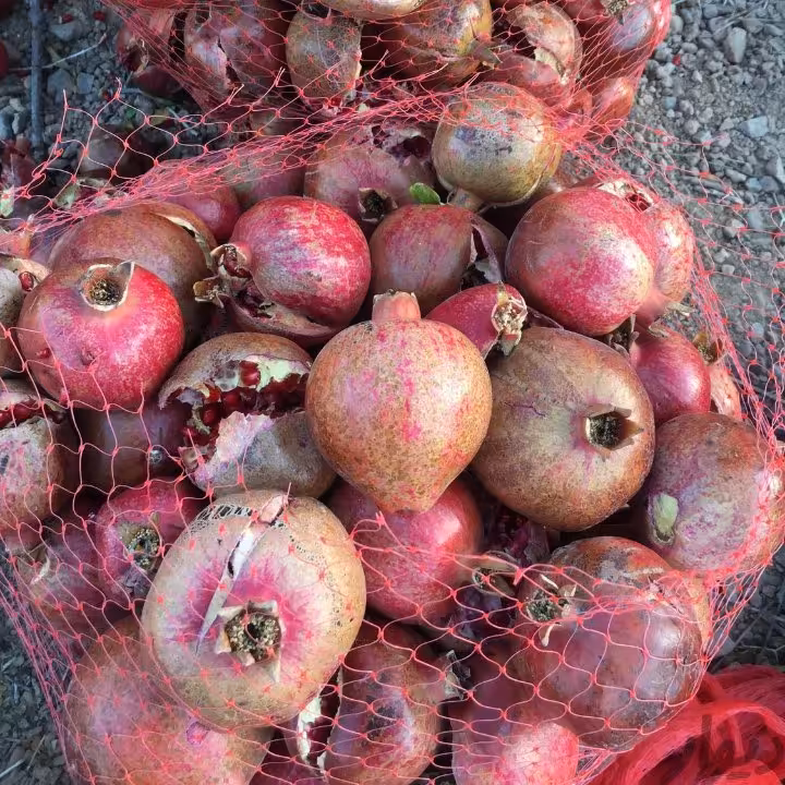 انار ربی محمودآباد طعم ملس محصول باغات ورامین 20 کیلویی