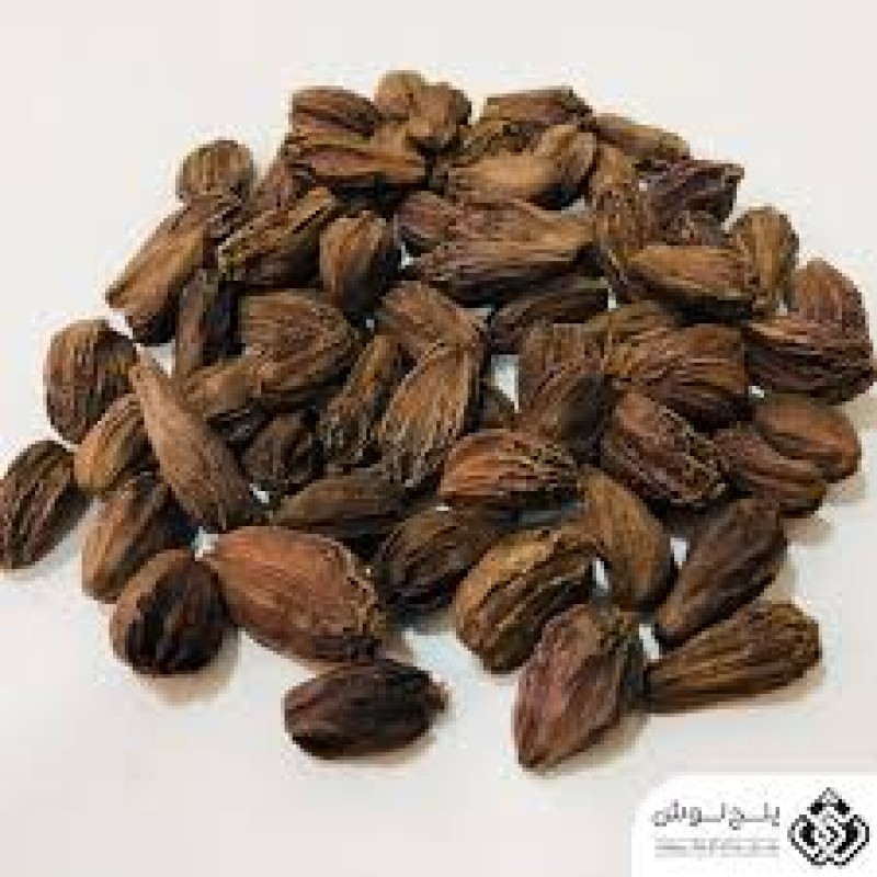 هل باد