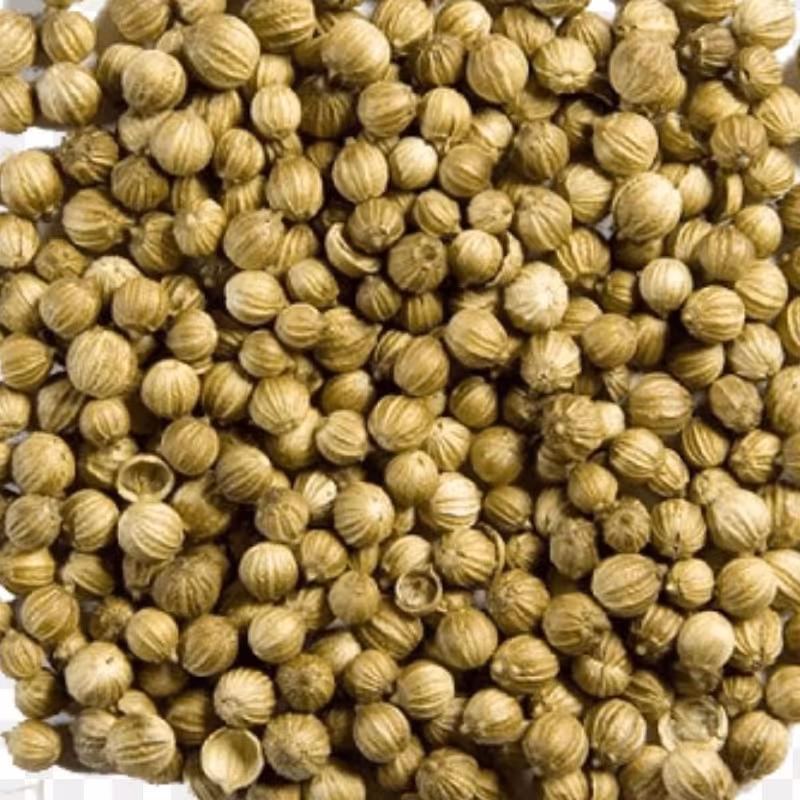 تخم گشنیز 100 گرم 60000