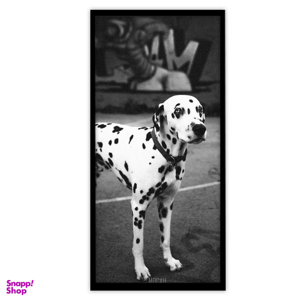 تابلو بکلیت طرح سگ دالماسین مدل B-S3255