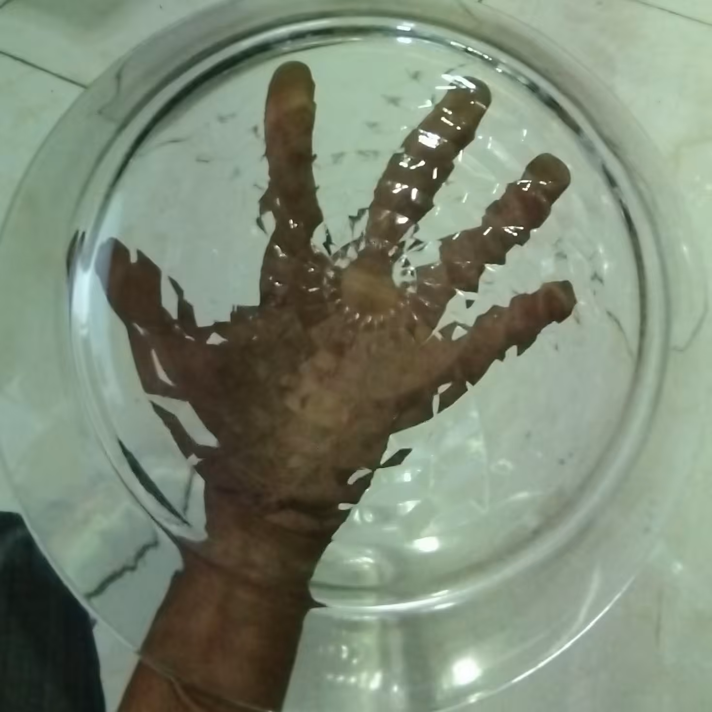 کاسه سالادی  و خورشتی خیلی بزرگ 