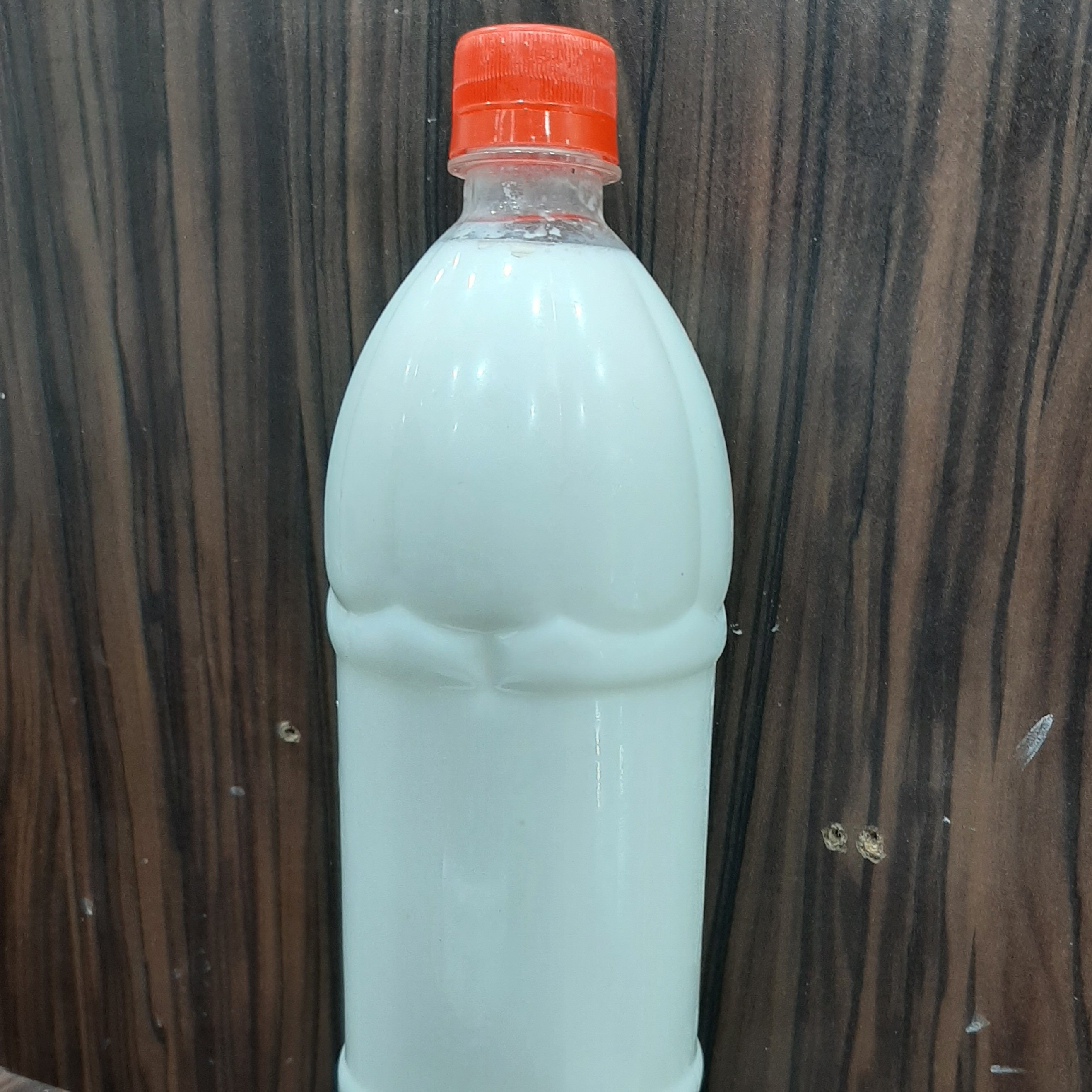 دوغ گوسفندی 1ونیم لیتری