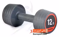 دمبل 12 و نیم کیلویی 100625 Reebok