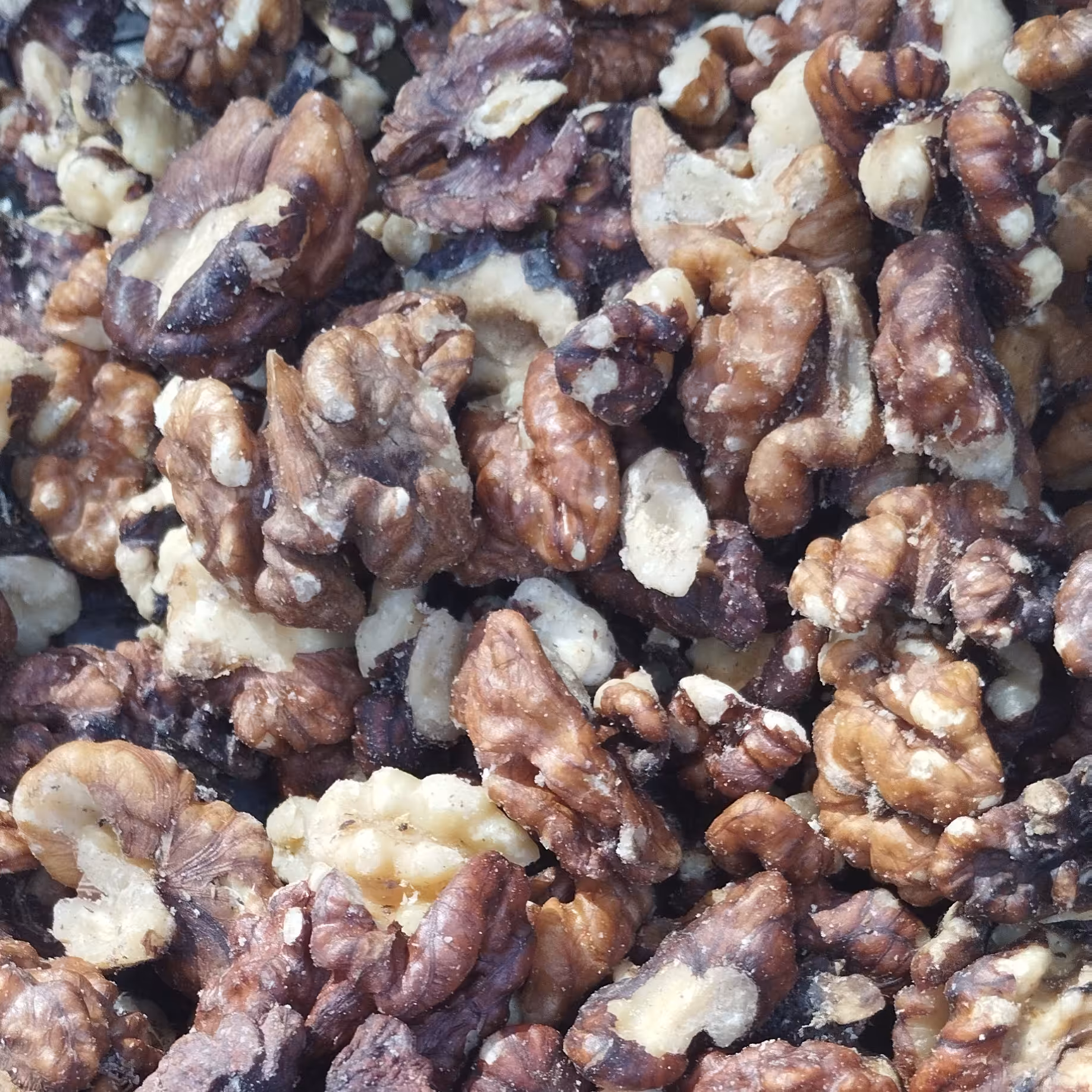 مغز گردو فسنجونی  کارتن 5 کیلویی ارسال رایگان 