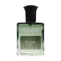 عطر جیبی مردانه پاور پالس مدل پگاسوس حجم 25 میلی لیتر