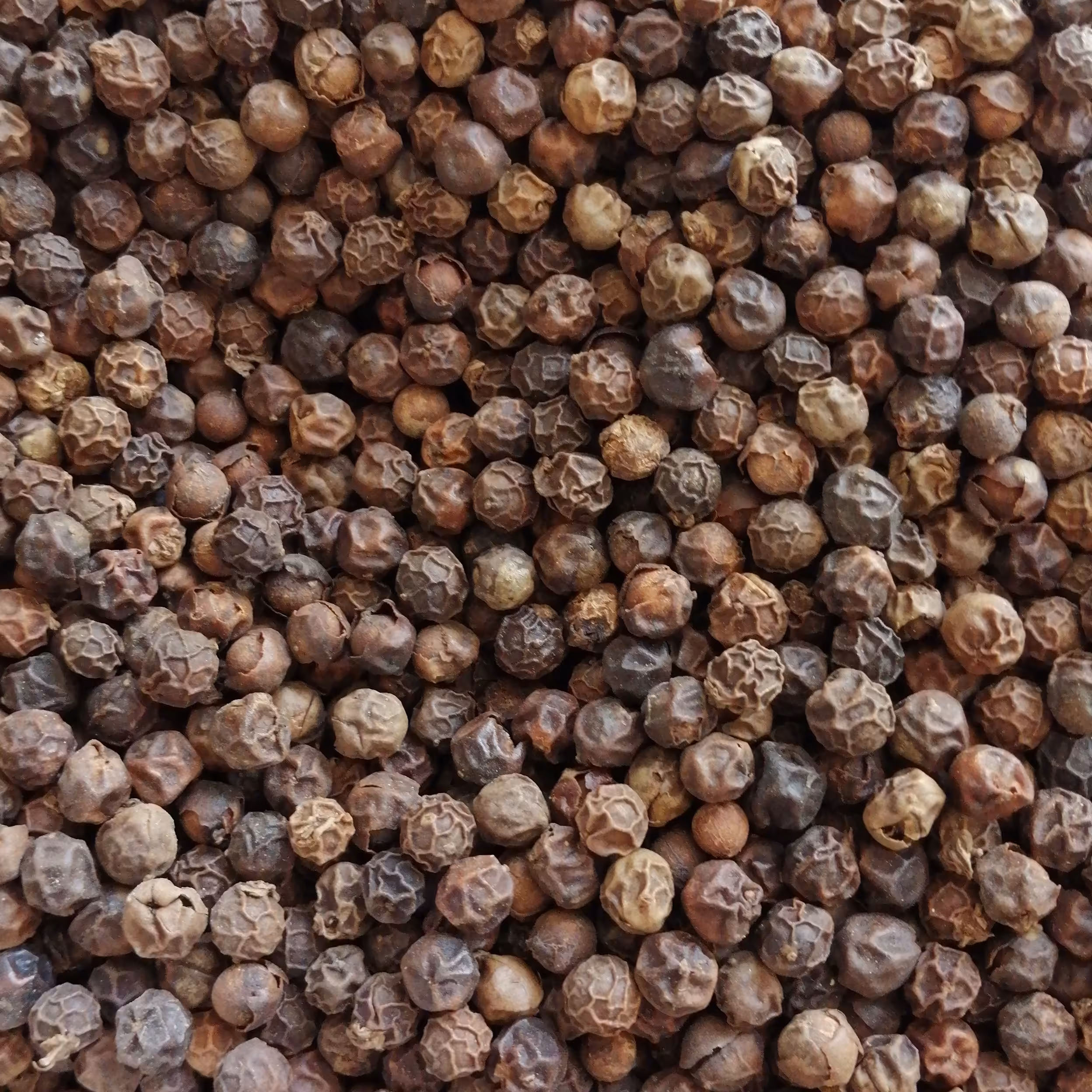 فلفل سیاه قلم و پودر فلفل سیاه ارگانیک بدون هیچ افزودنی 