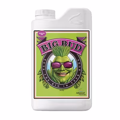 کود بیگ باد ادونس