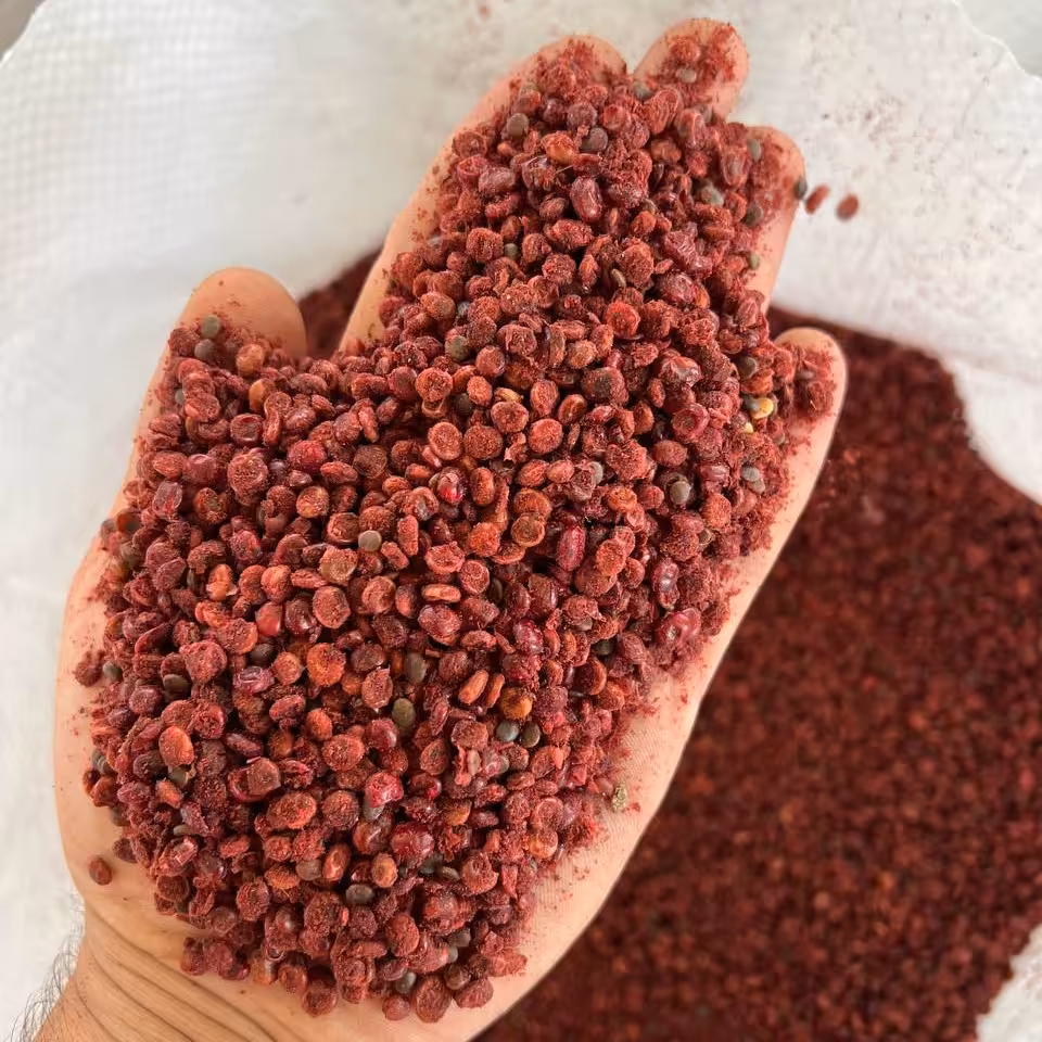 دان  سماق  قرمز  آذربایجان 