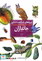 قیمت و خرید کتاب چراهای شگفت انگیز جانداران | ایده بوک