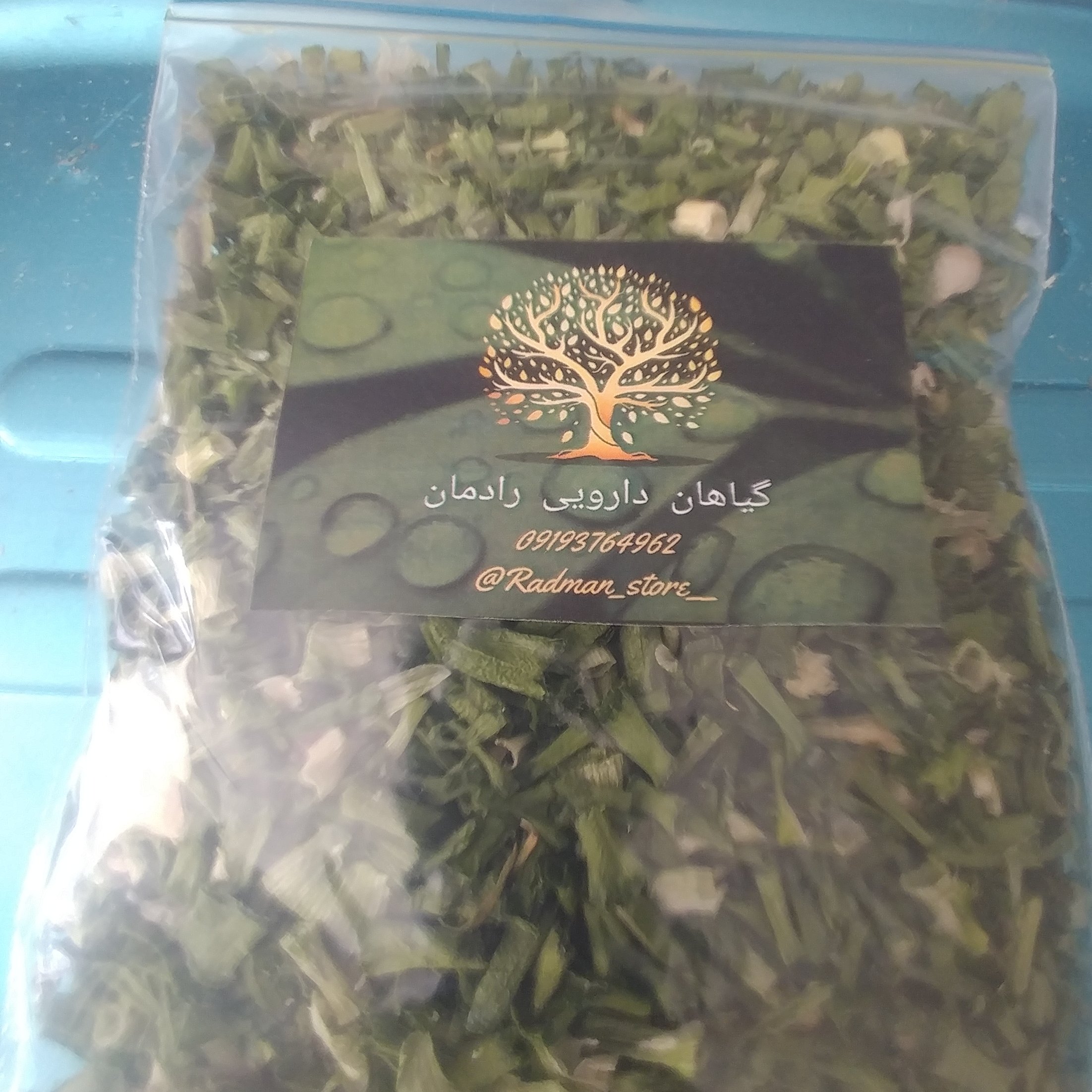 ورکوآز یا پیاز کوهی