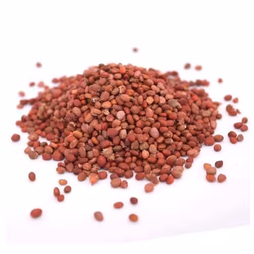 بذر تربچه ( تخم تربچه) 75 گرم خالص دربسته بندی سلفونی کیفیت خوب و عالی است قرمز رنگ