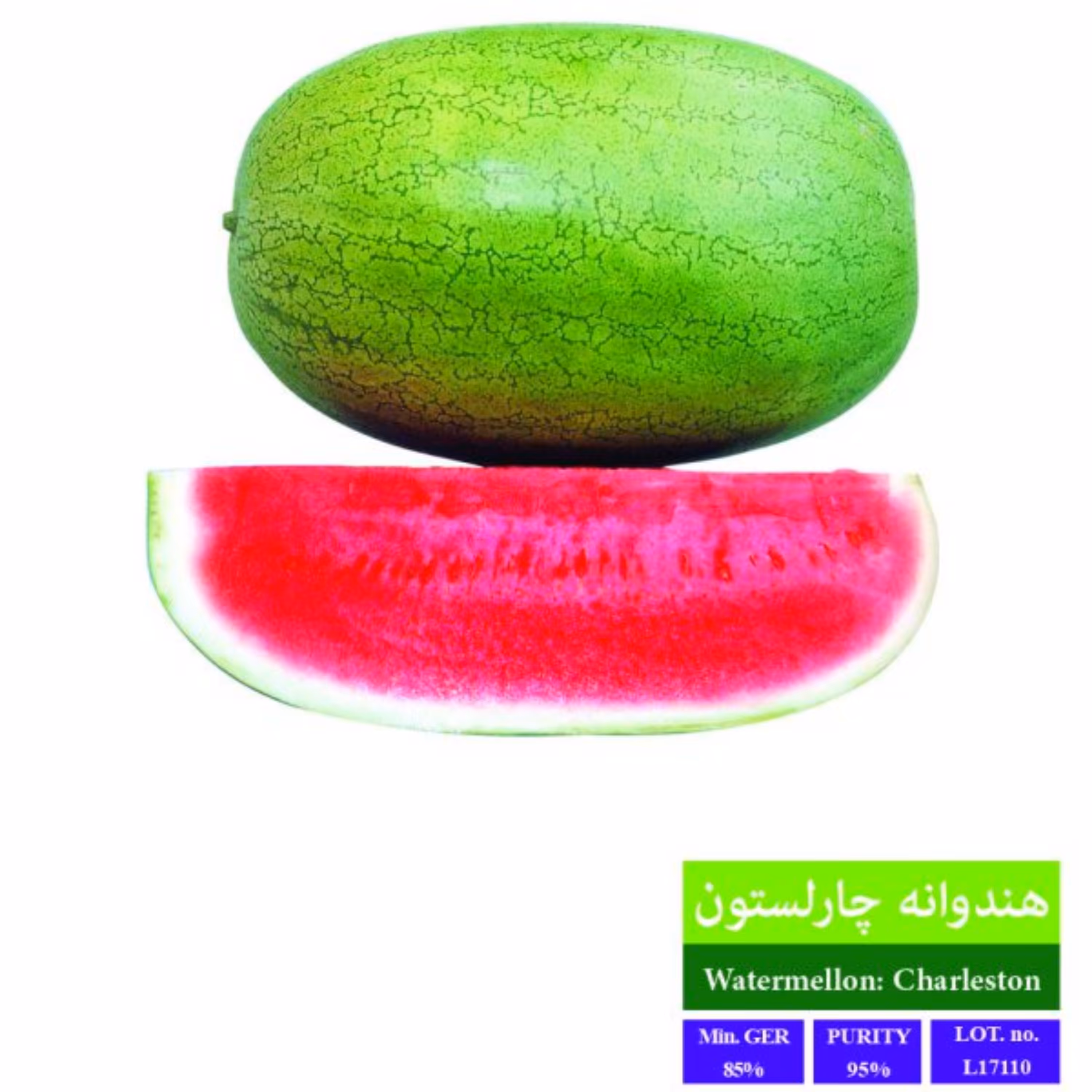 بذر هندوانه چارلستون بذر طلایی رویان 