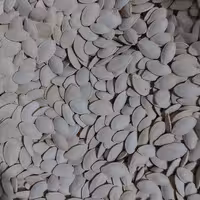 تخمه کدوی تازه تفت داده شده