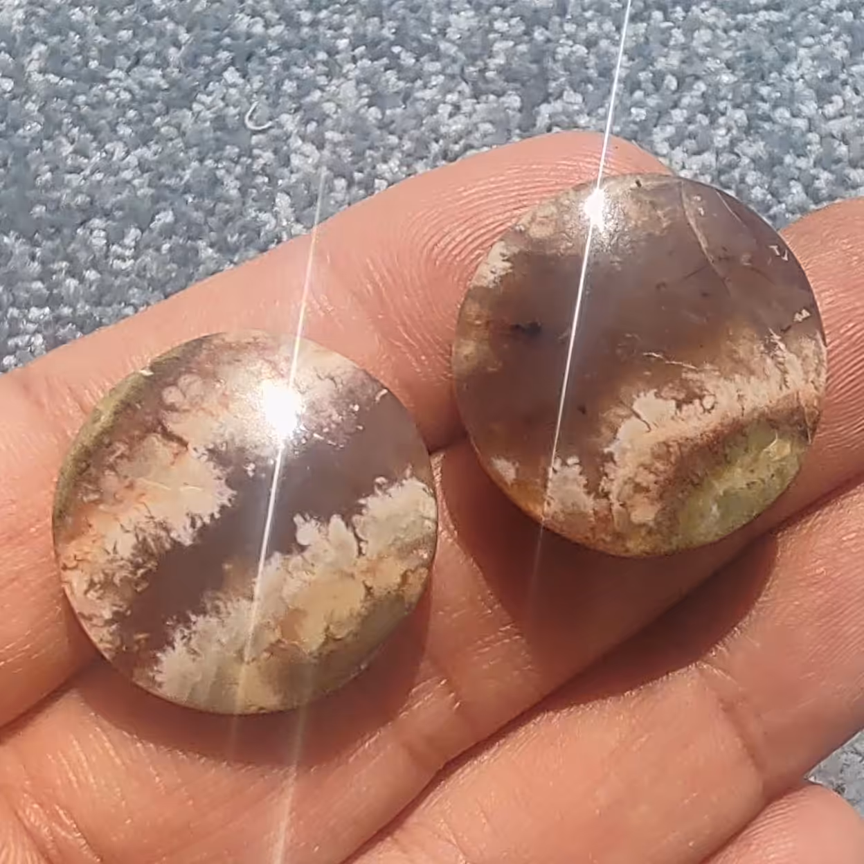 یک جفت نگین عقیق شجر منظره جنگلی 