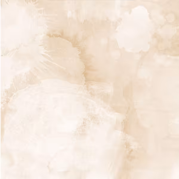 بکدراپ چاپی کد sd-w8