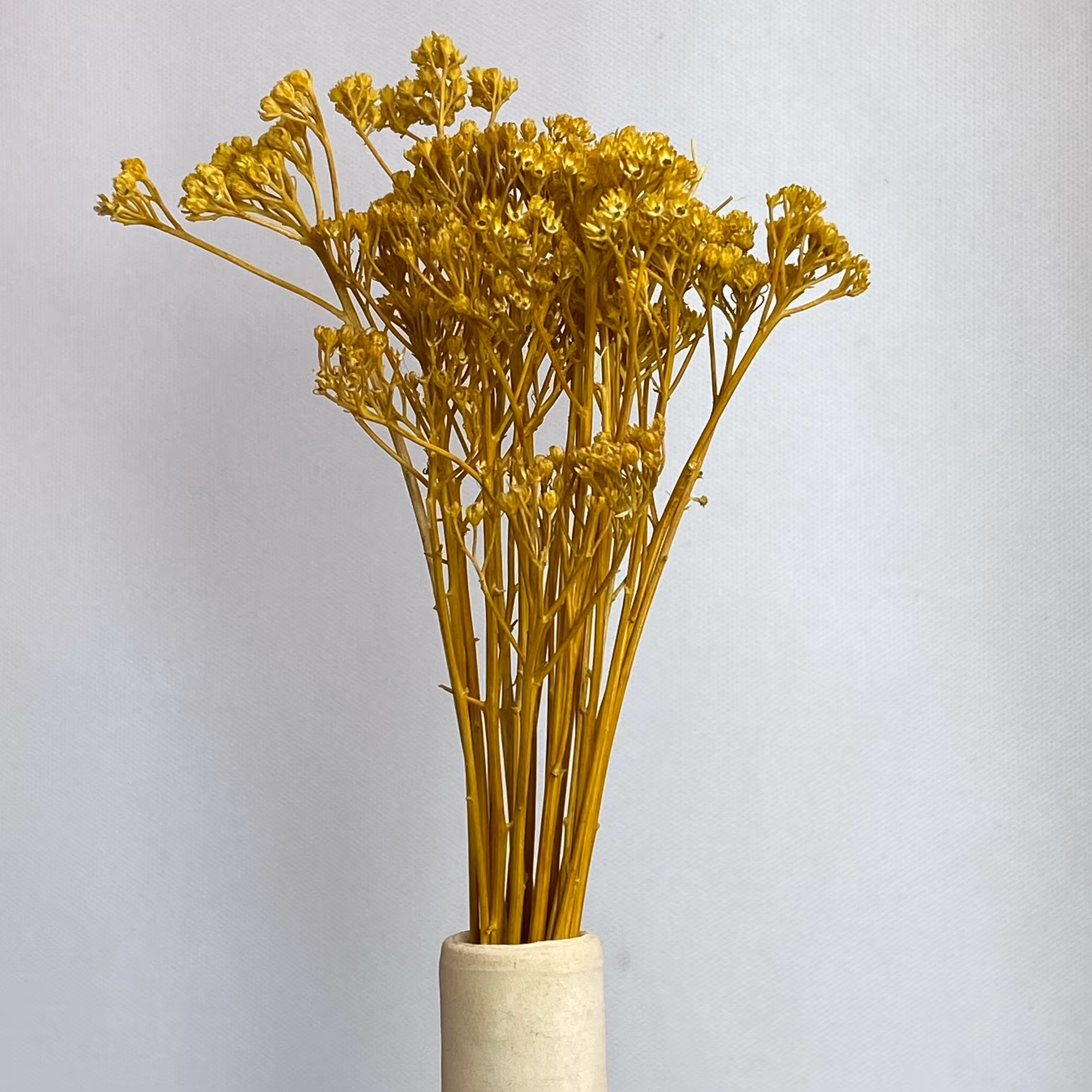 گل خشک تزیینی بومادران رنگ زرد تک شاخه ای