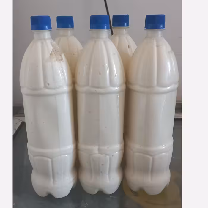 کشک غلیظ آغوز گاوی هزاروسیصد گرمی