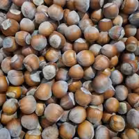 فندف خام درشت و اعلای آذرشهر ارسال رایگان 